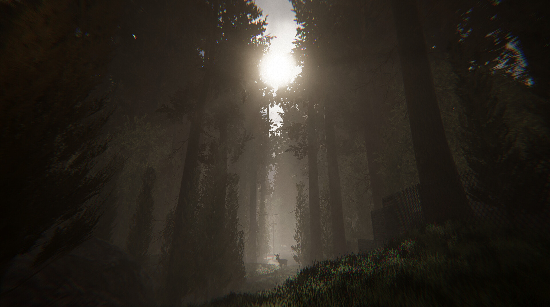 Silvanis screenshot 1