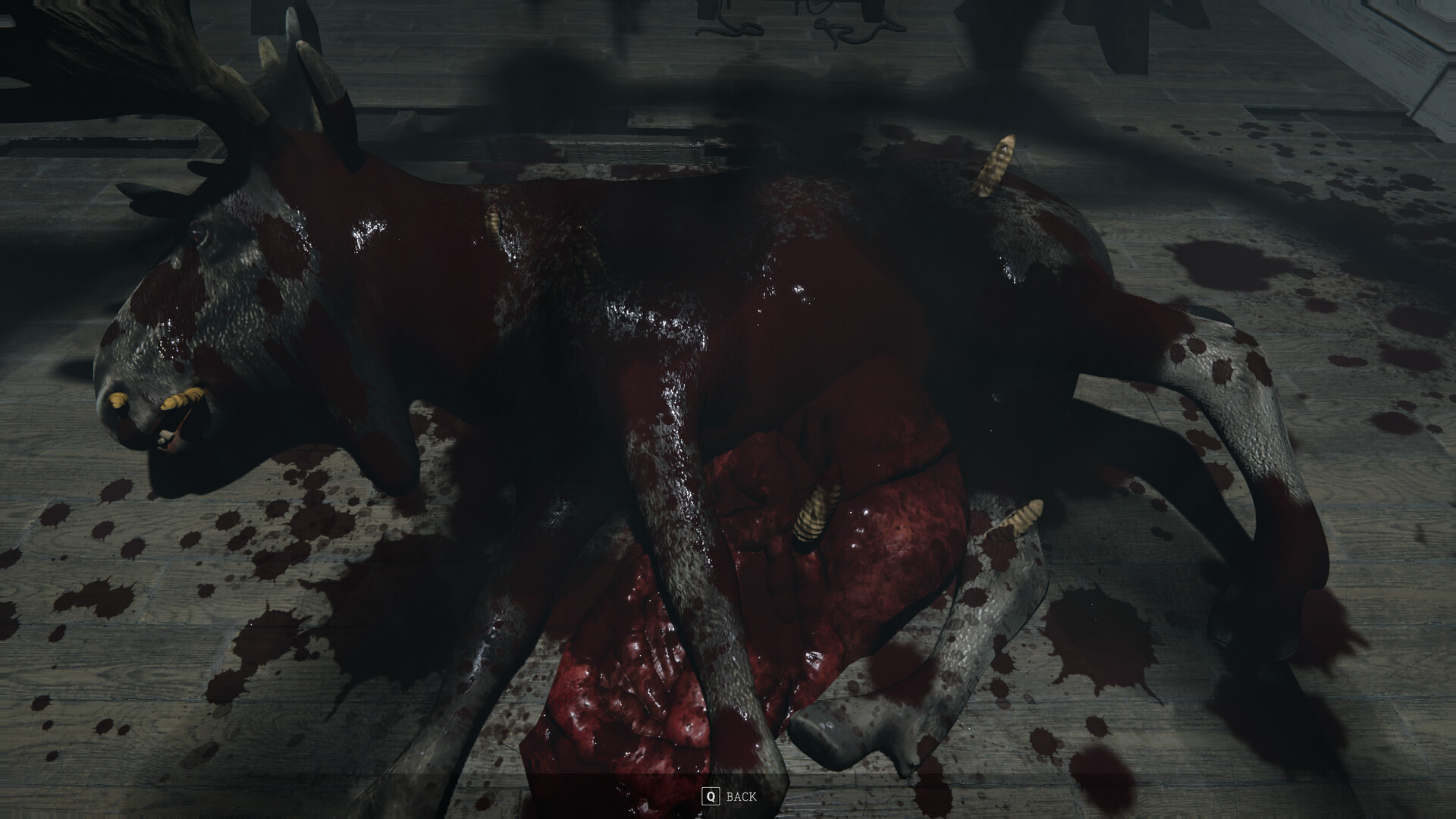 Skinrot screenshot 16