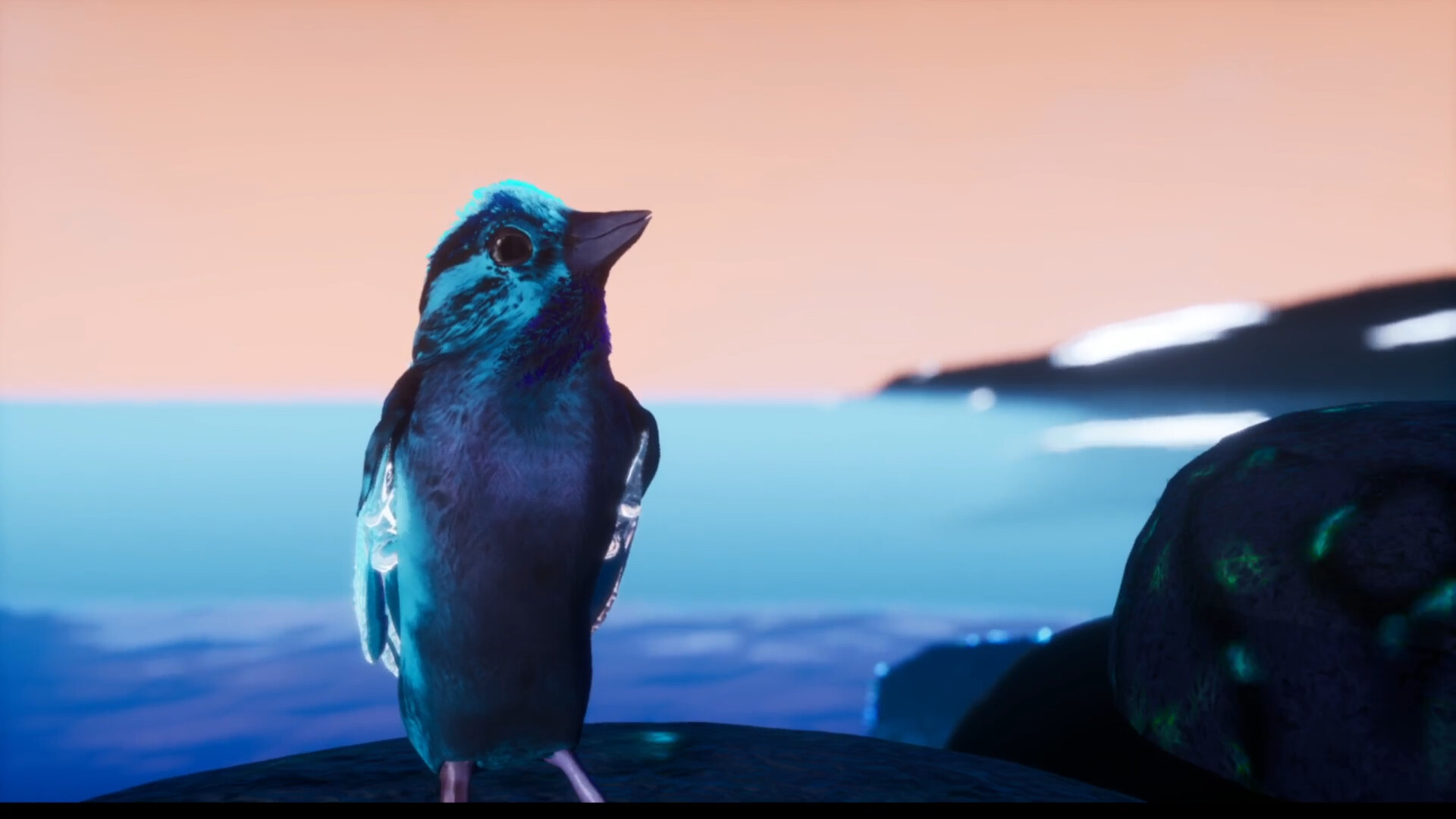 Sparrow Country screenshot 19