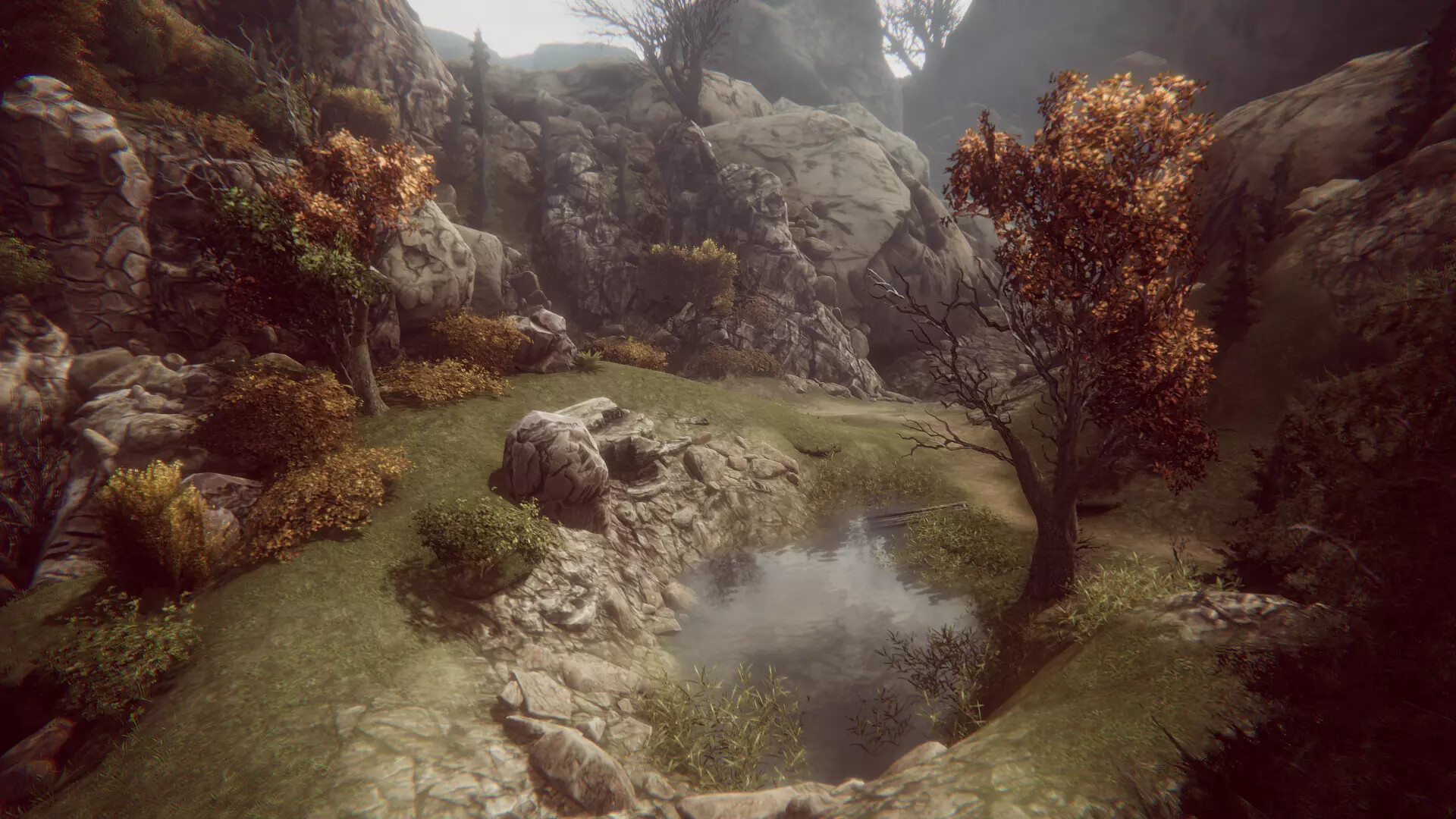 Natural Elements Online screenshot 2