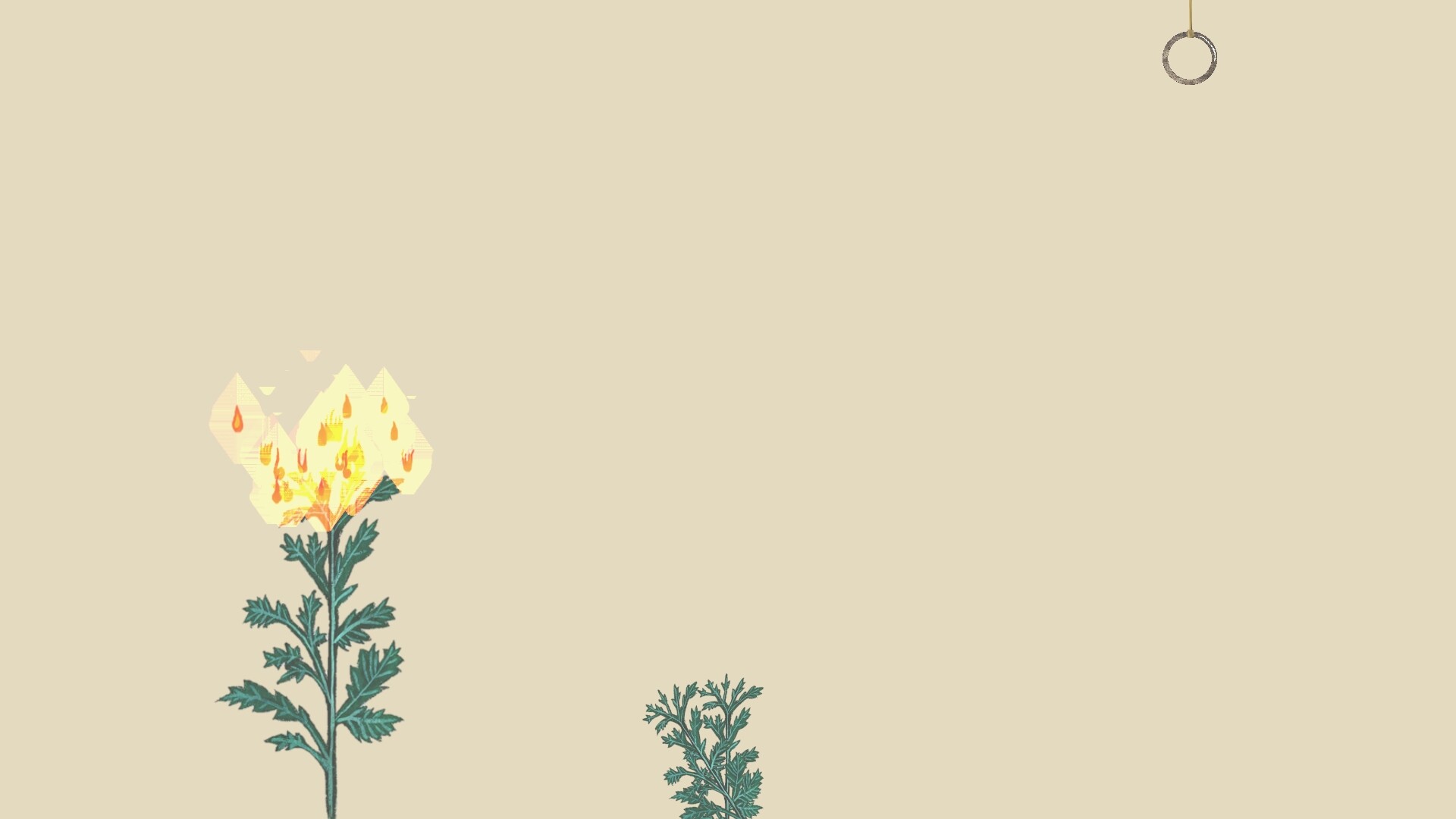 Wrist Catcher-寸关 screenshot 4