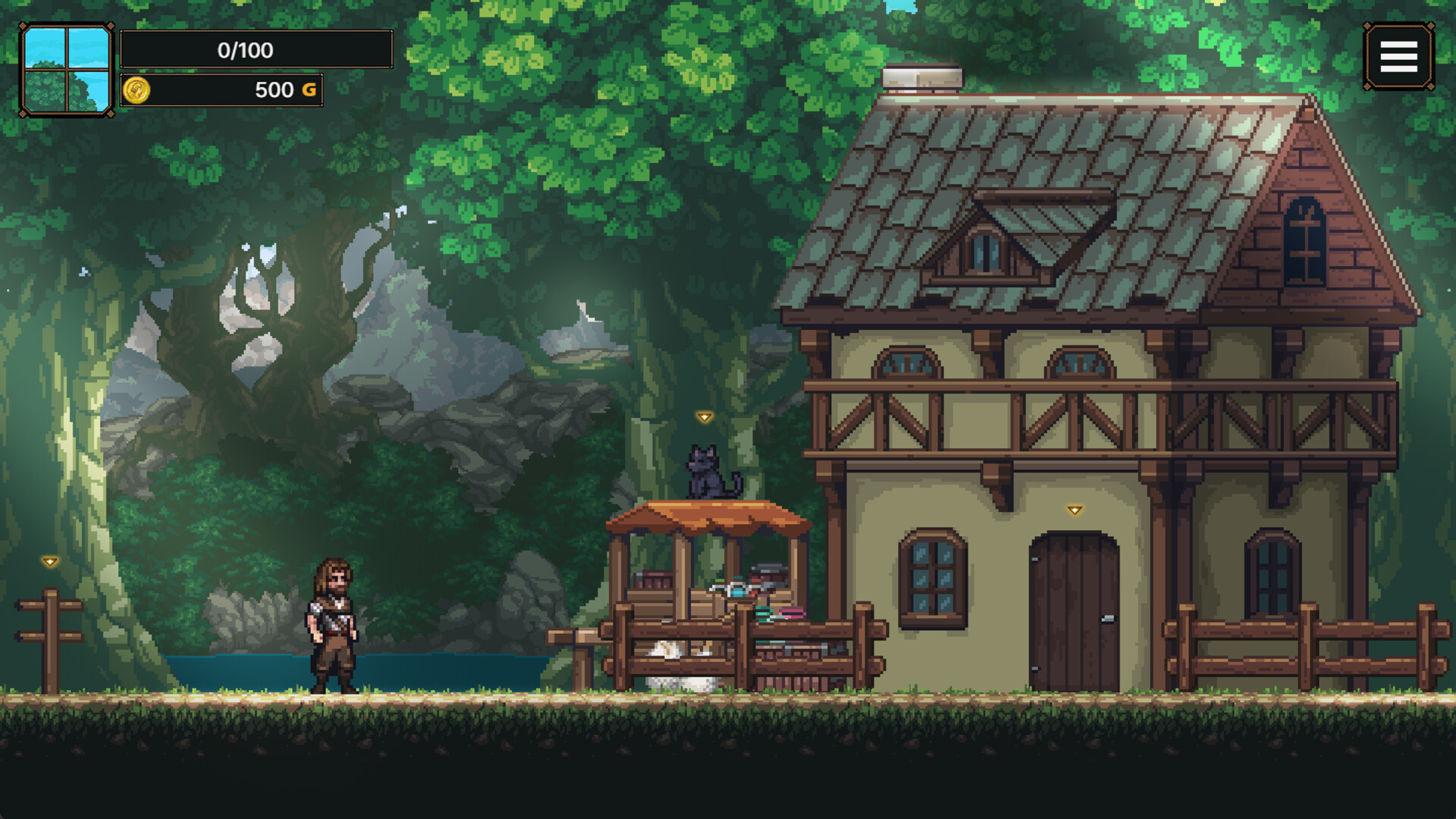Shop Mistress NTR screenshot 5