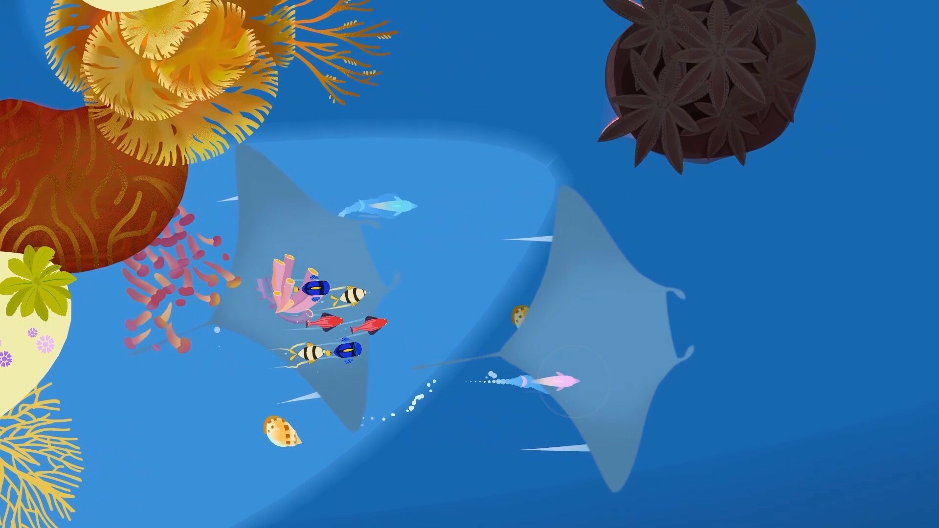 Delfini screenshot 4