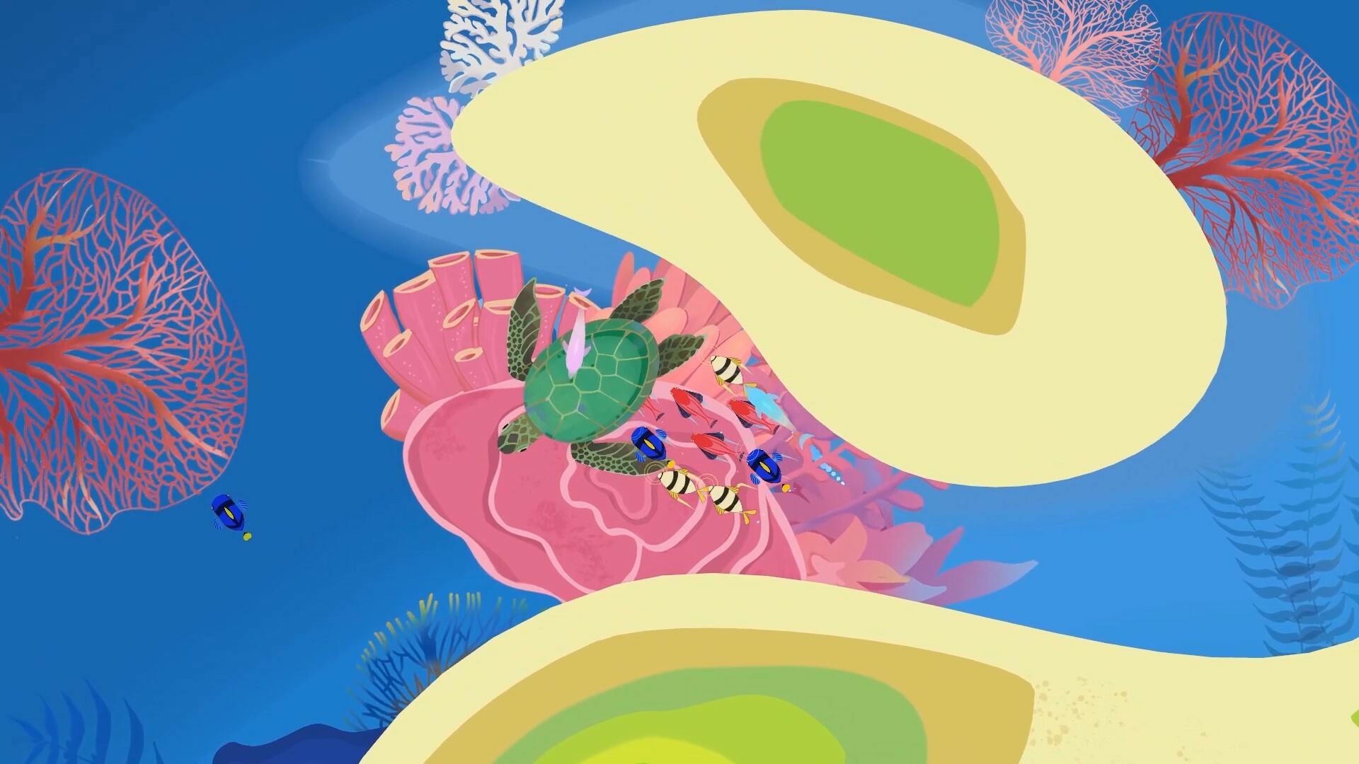 Delfini screenshot 3