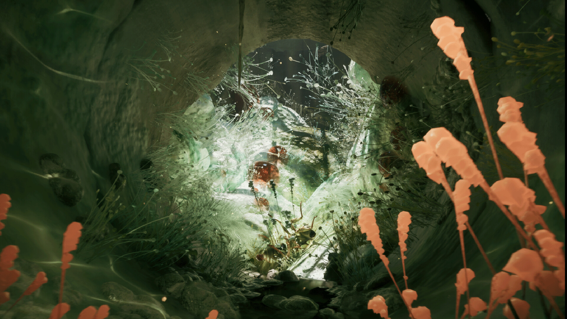 MOLD screenshot 1