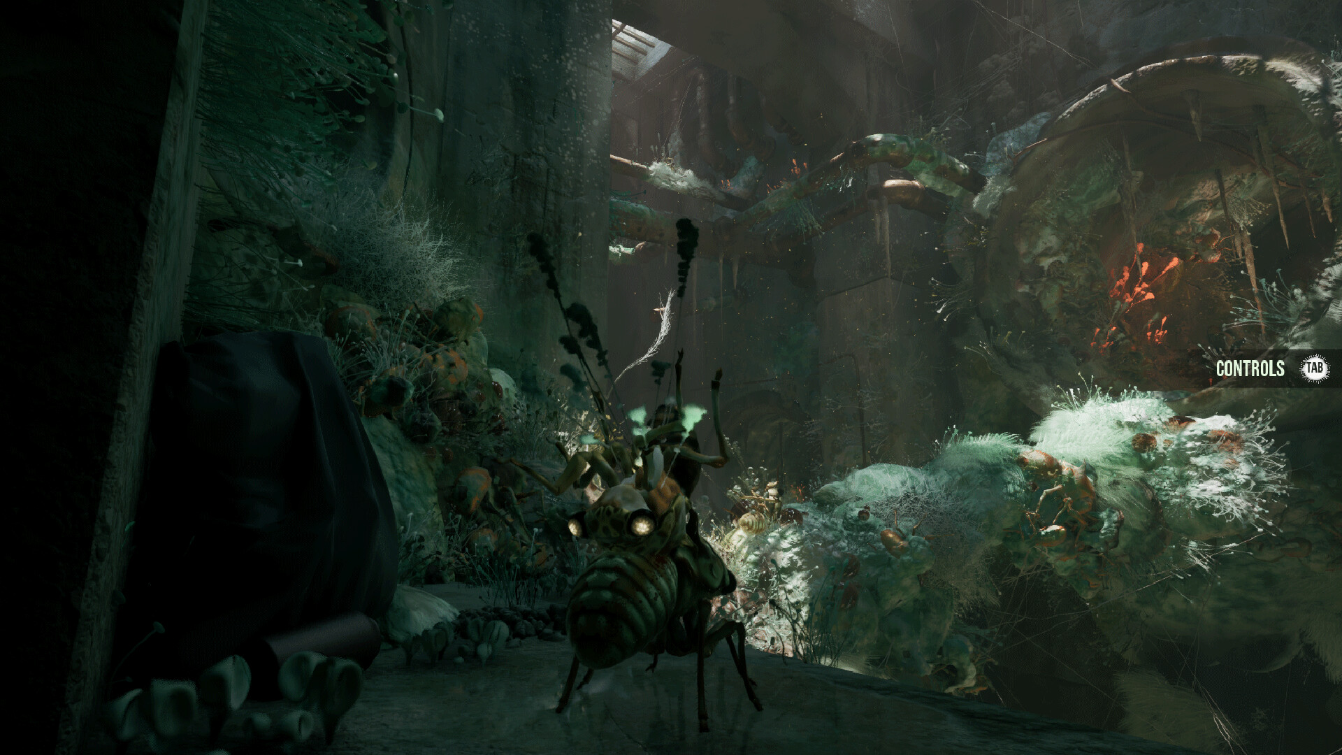 MOLD screenshot 3