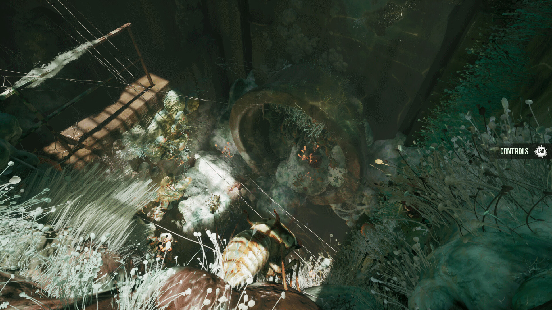 MOLD screenshot 5