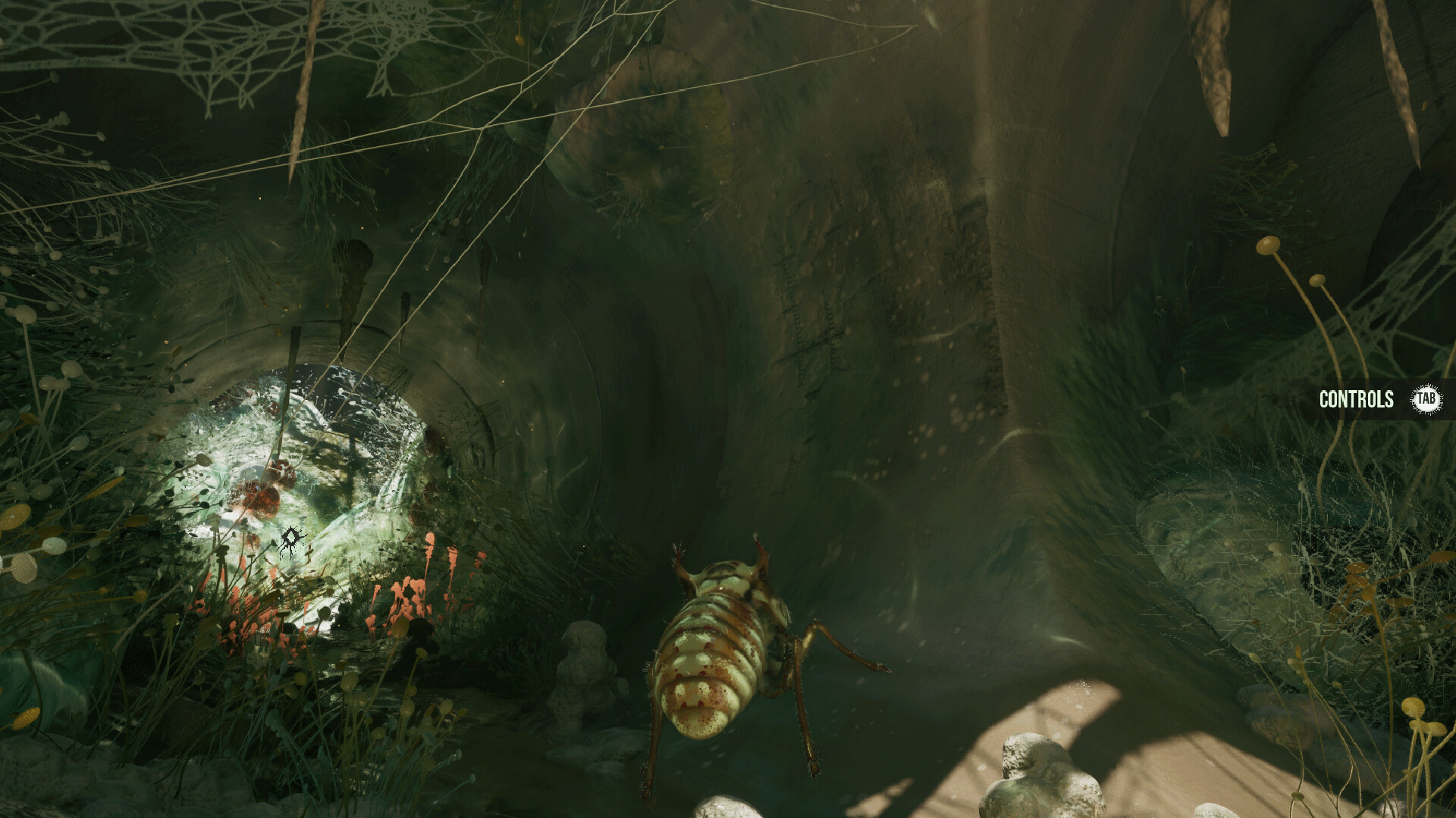 MOLD screenshot 4