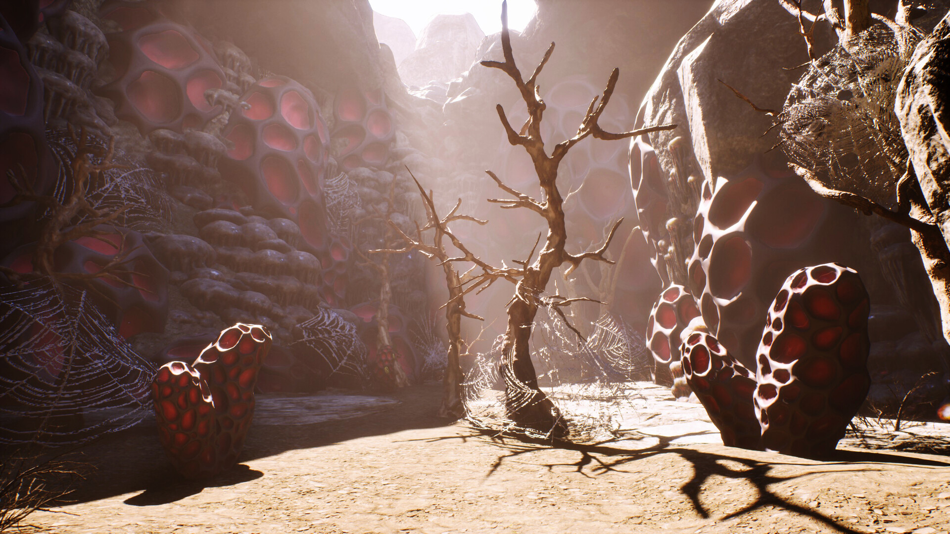 Hermit screenshot 9