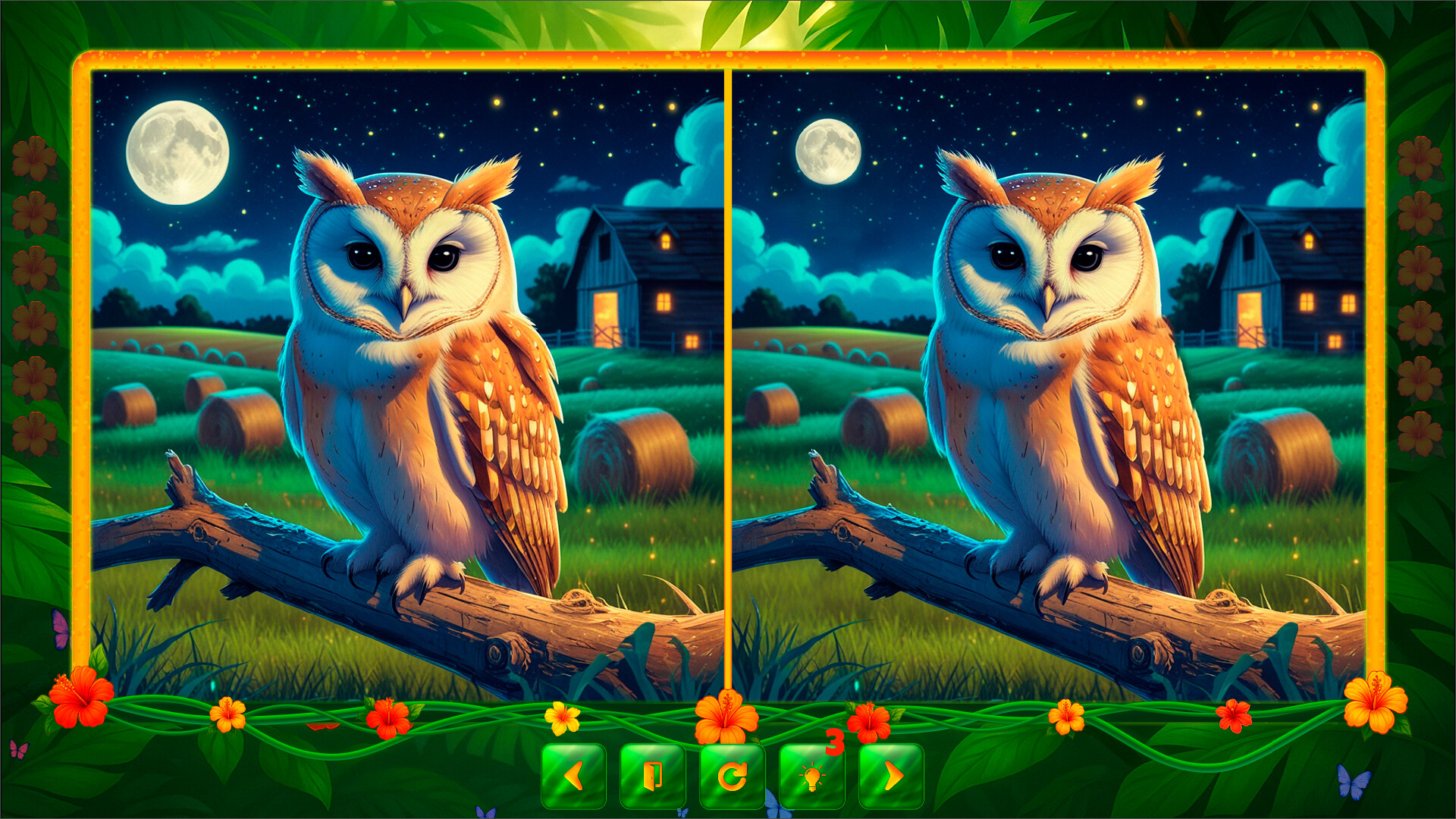 BirdQuest Find the Difference screenshot 5