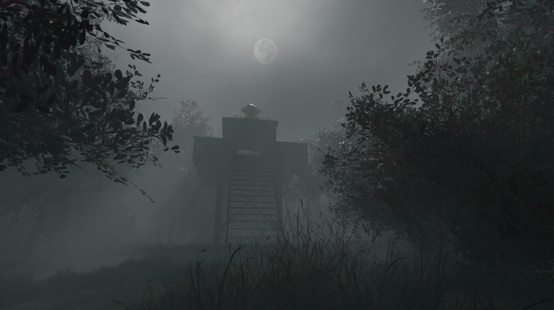 Whispering Fog screenshot 5