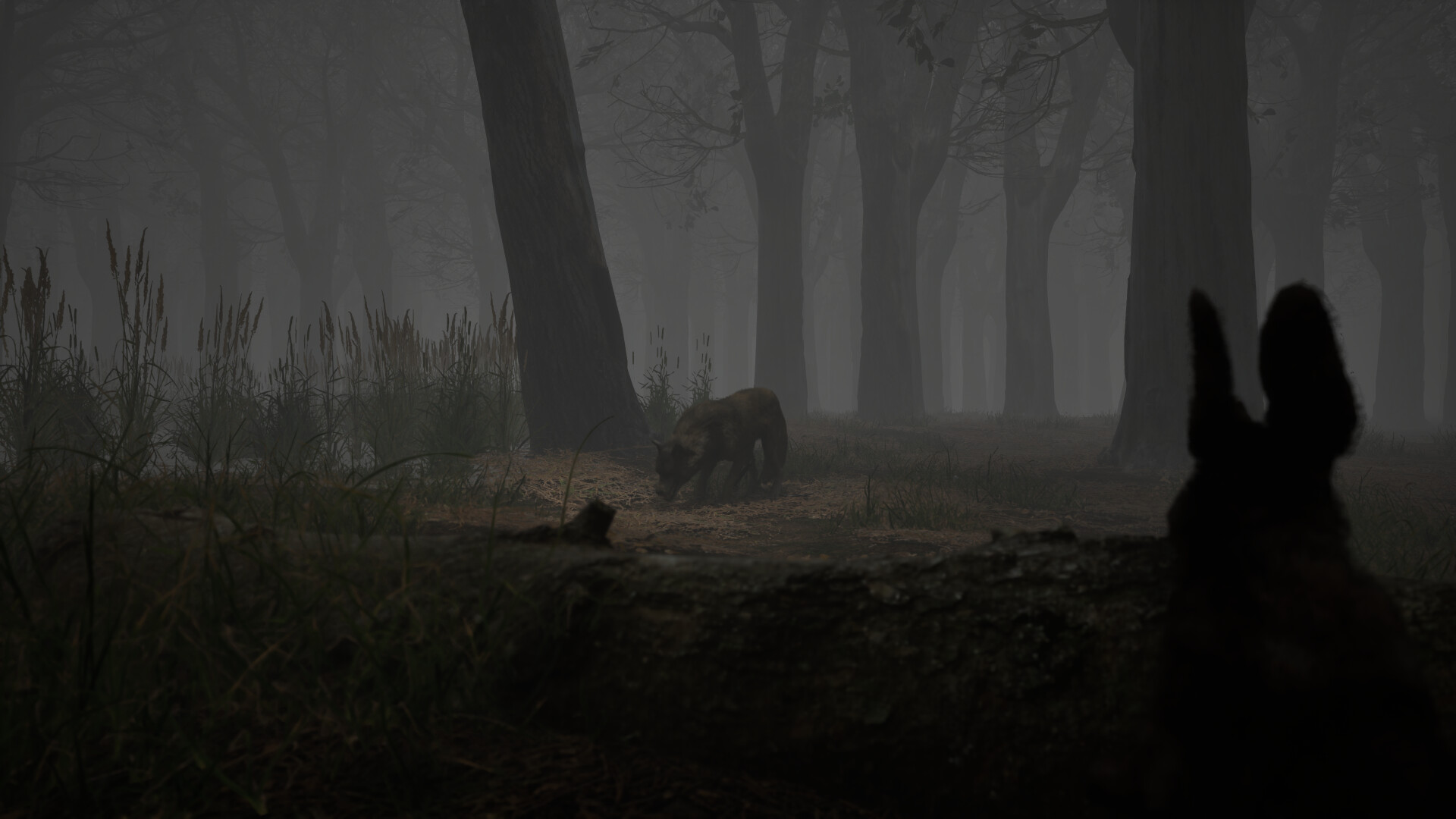 Shadow Warren screenshot 2