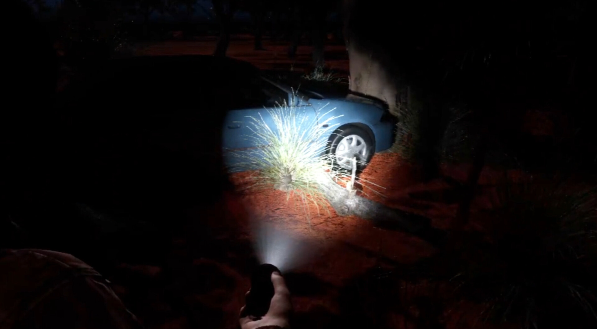 X300 screenshot 6