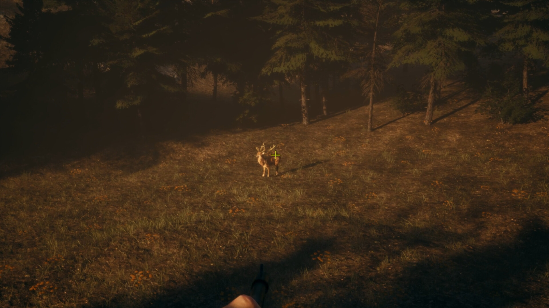 Cabin Curse screenshot 3