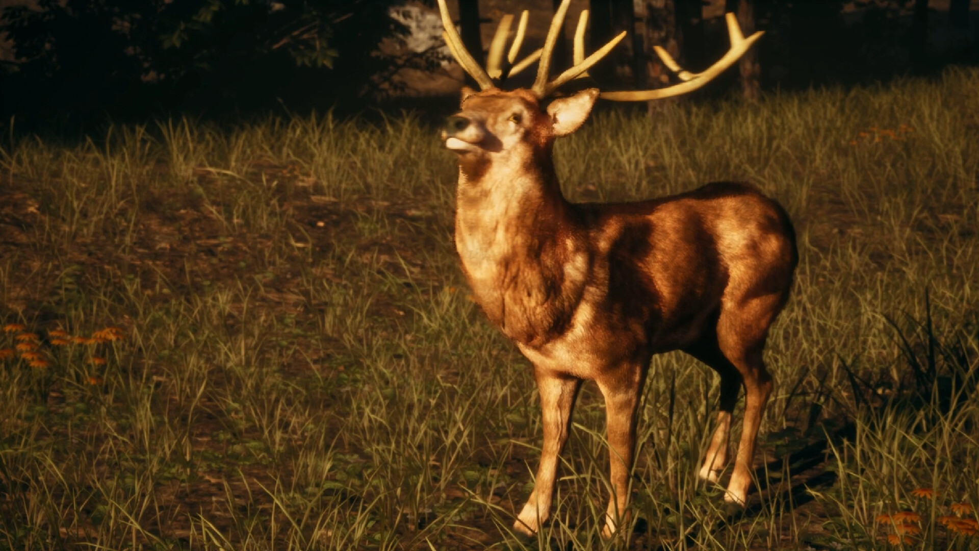 Cabin Curse screenshot 6
