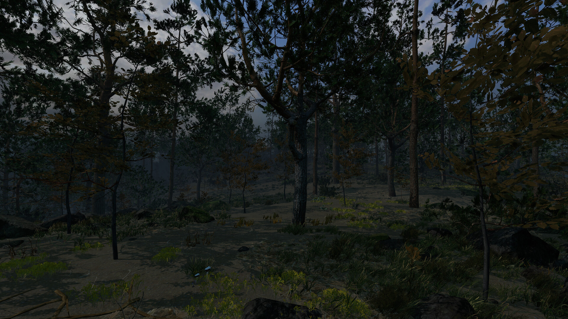 Strange island screenshot 8