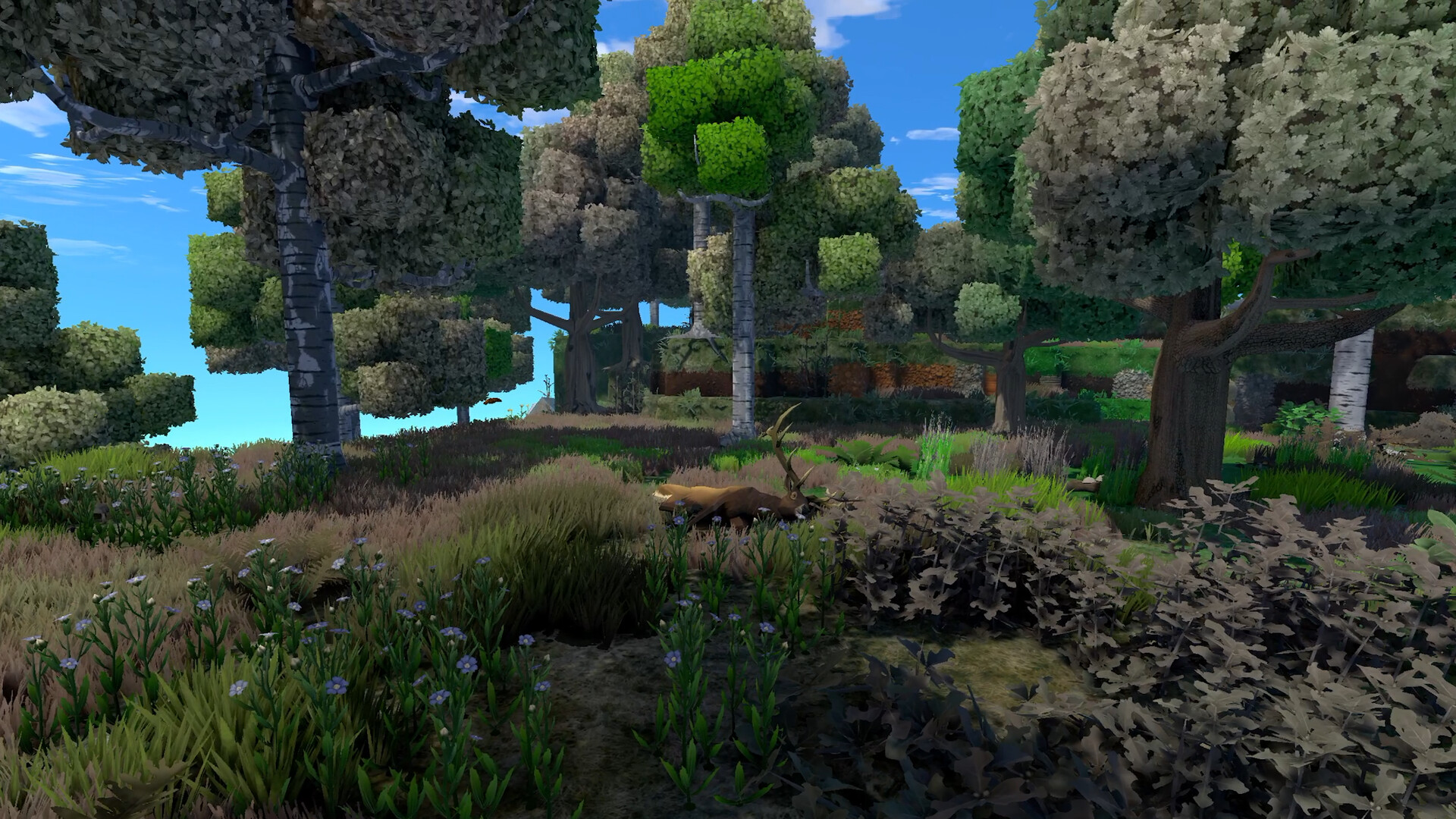 Eco screenshot 18