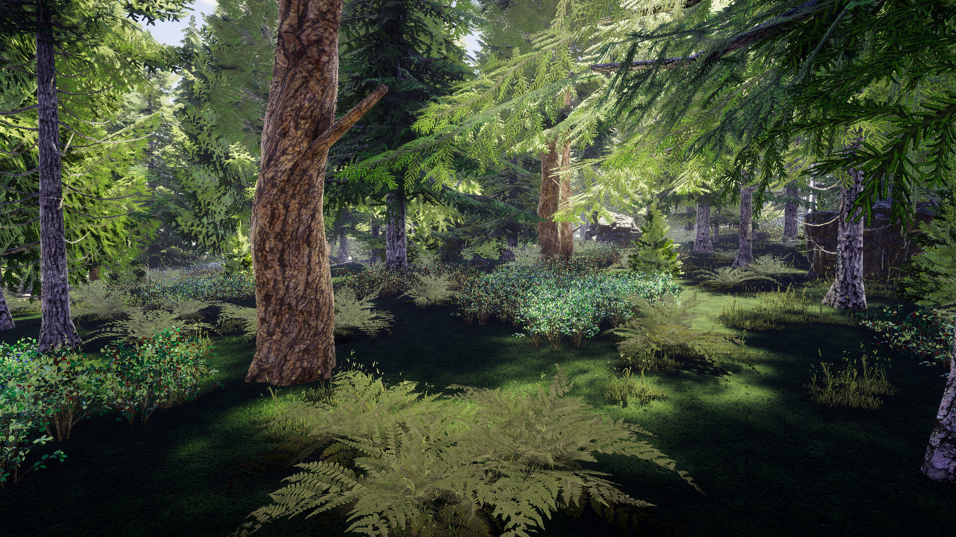 Finnish Forest screenshot 5
