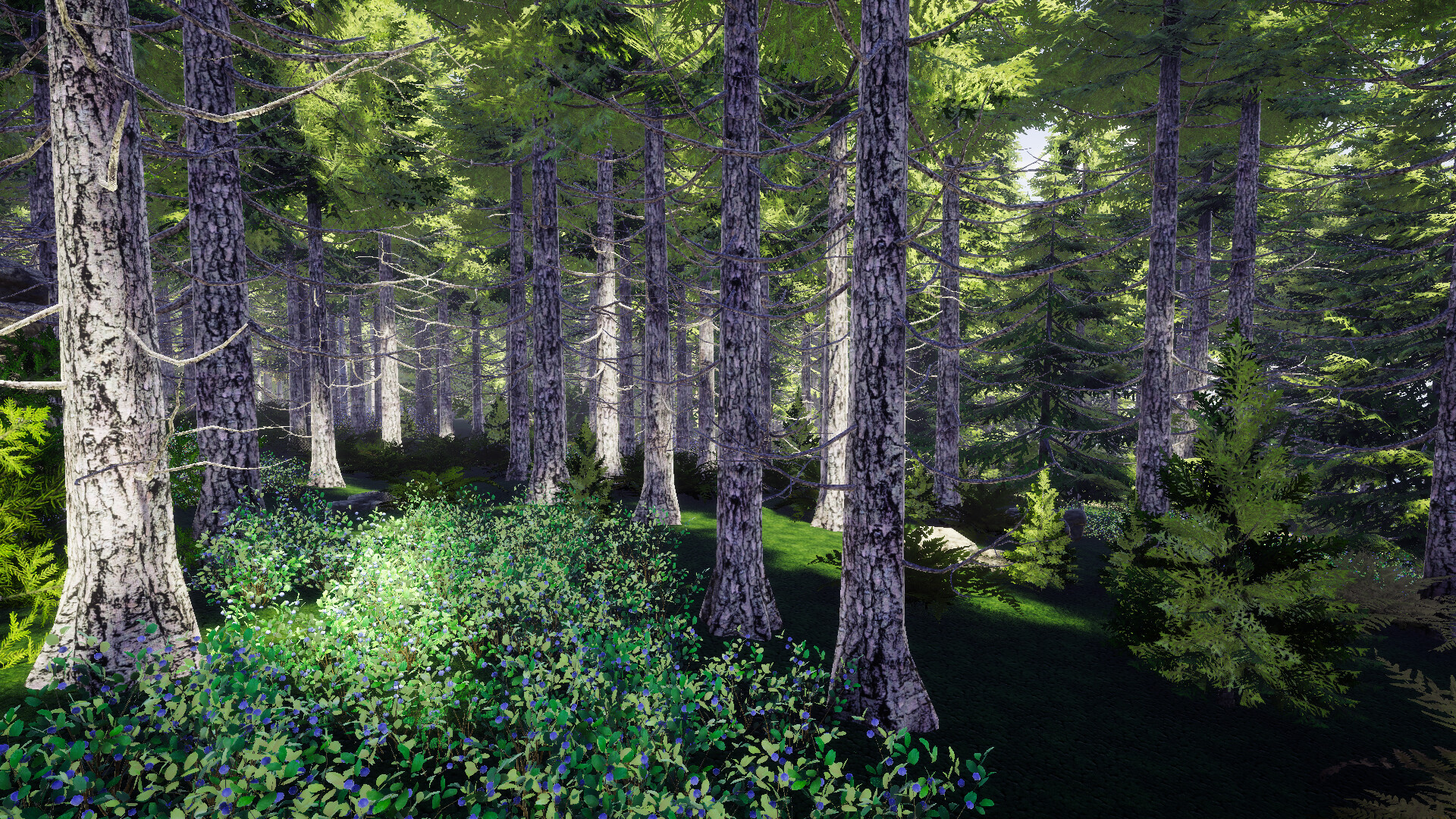 Finnish Forest screenshot 3