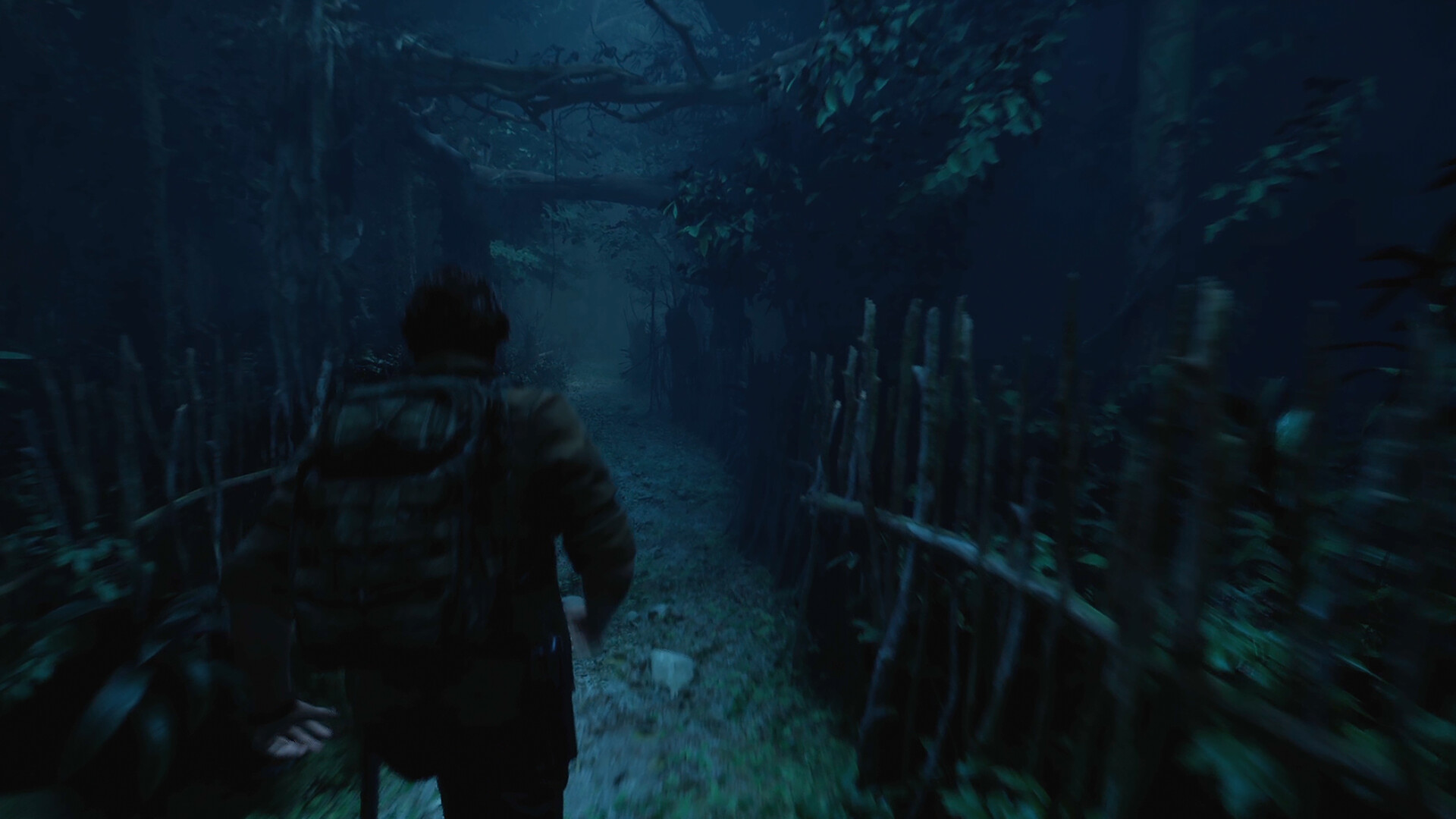 The Twilight Project screenshot 1