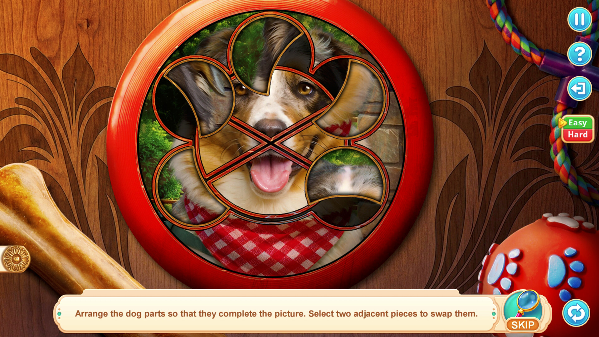 Home for Friends: Beloved Pets Collector's Edition screenshot 4