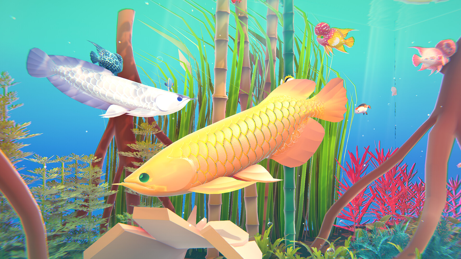 Fishplay screenshot 4