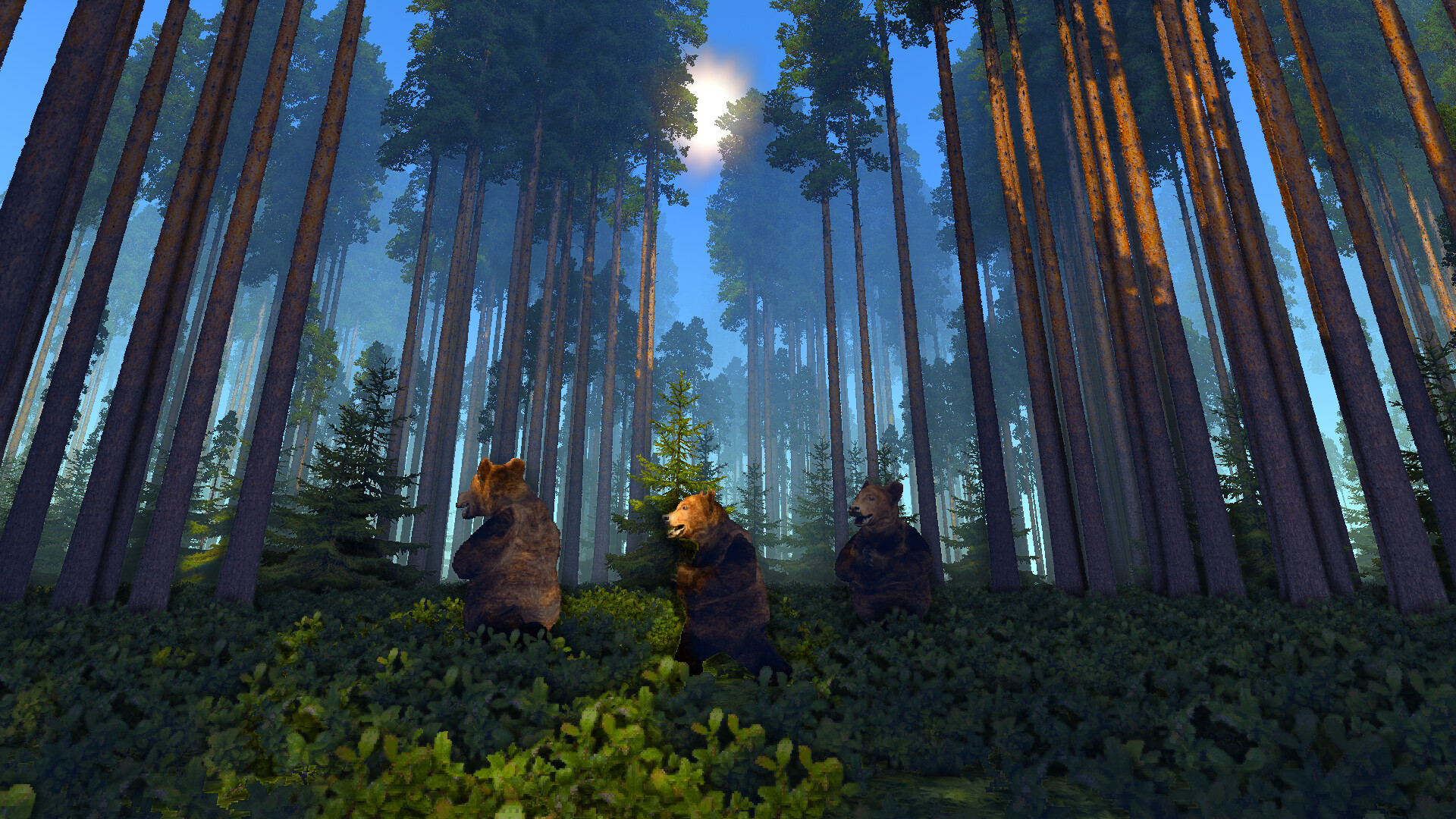 VOIMA screenshot 3