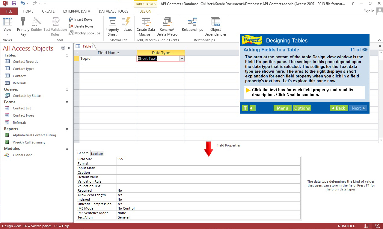 Professor Teaches® Access 2013 & 365 screenshot 5