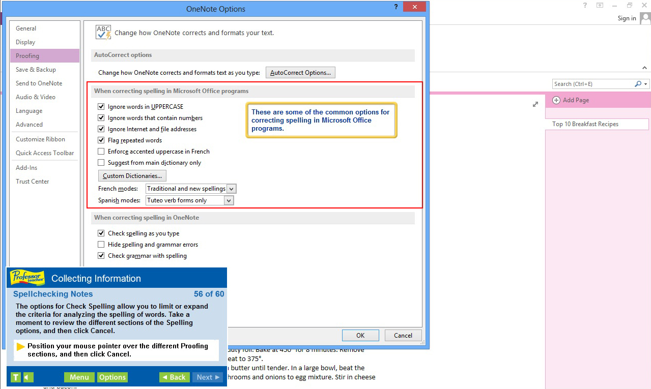 Professor Teaches® OneNote 2013 & 365 screenshot 3