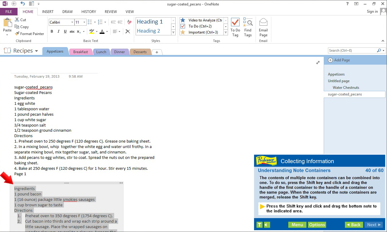 Professor Teaches® OneNote 2013 & 365 screenshot 1