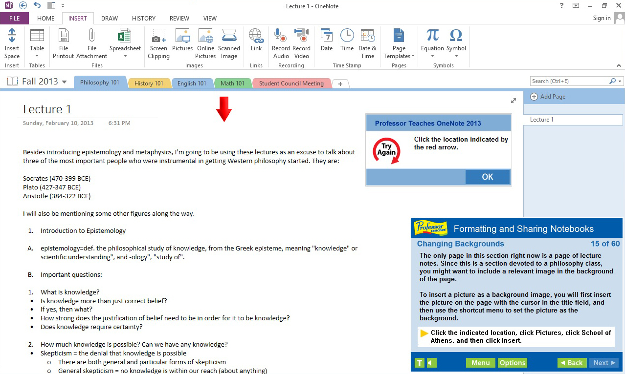 Professor Teaches® OneNote 2013 & 365 screenshot 2