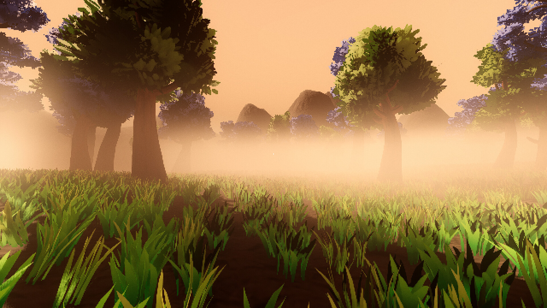 Amanita screenshot 4