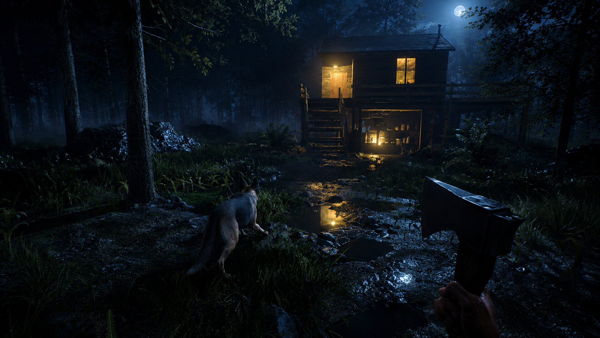 Alone on the Lost Isle screenshot 2