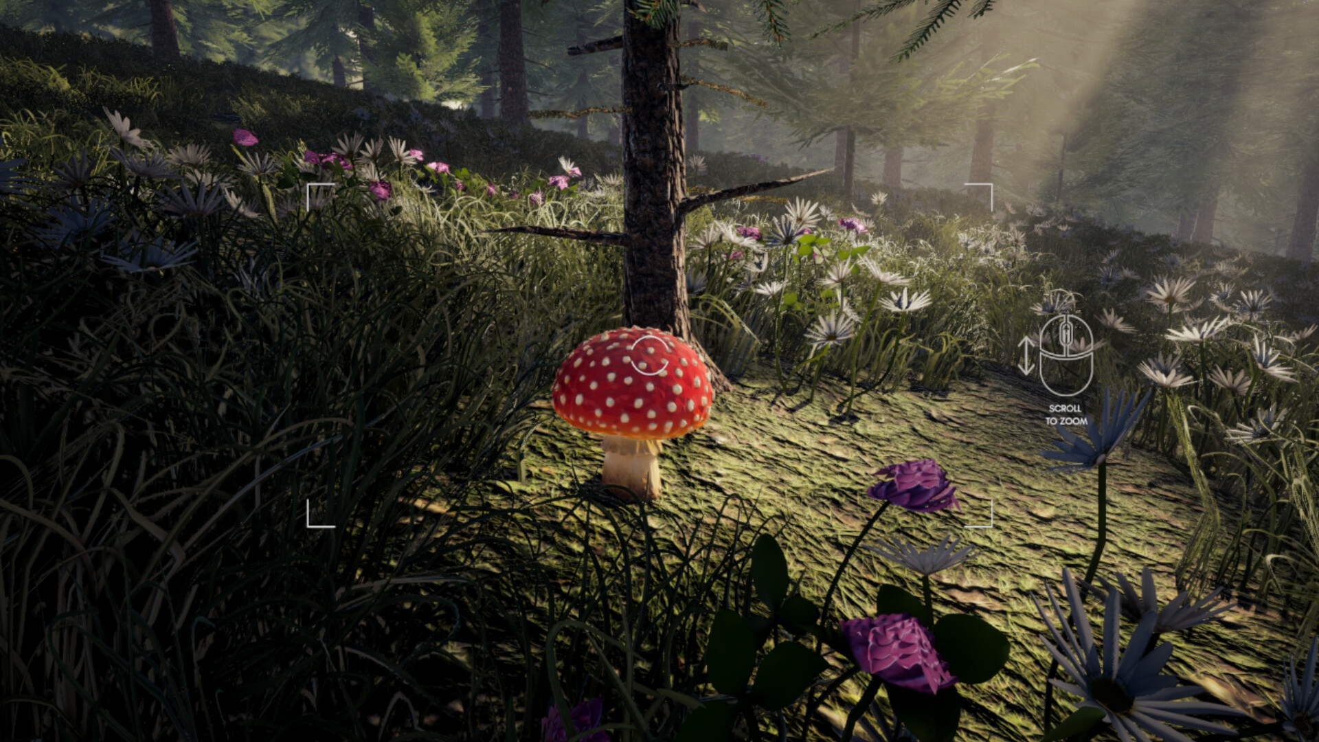 Forager's Finds screenshot 2