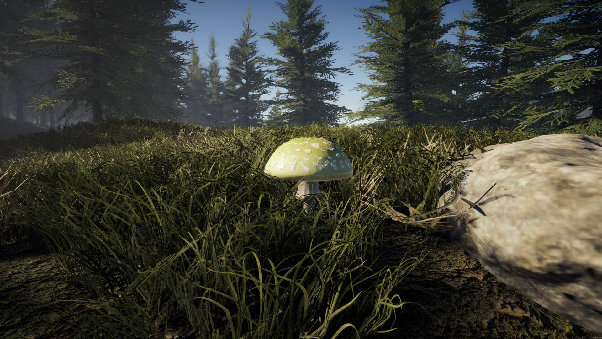 Forager's Finds screenshot 9