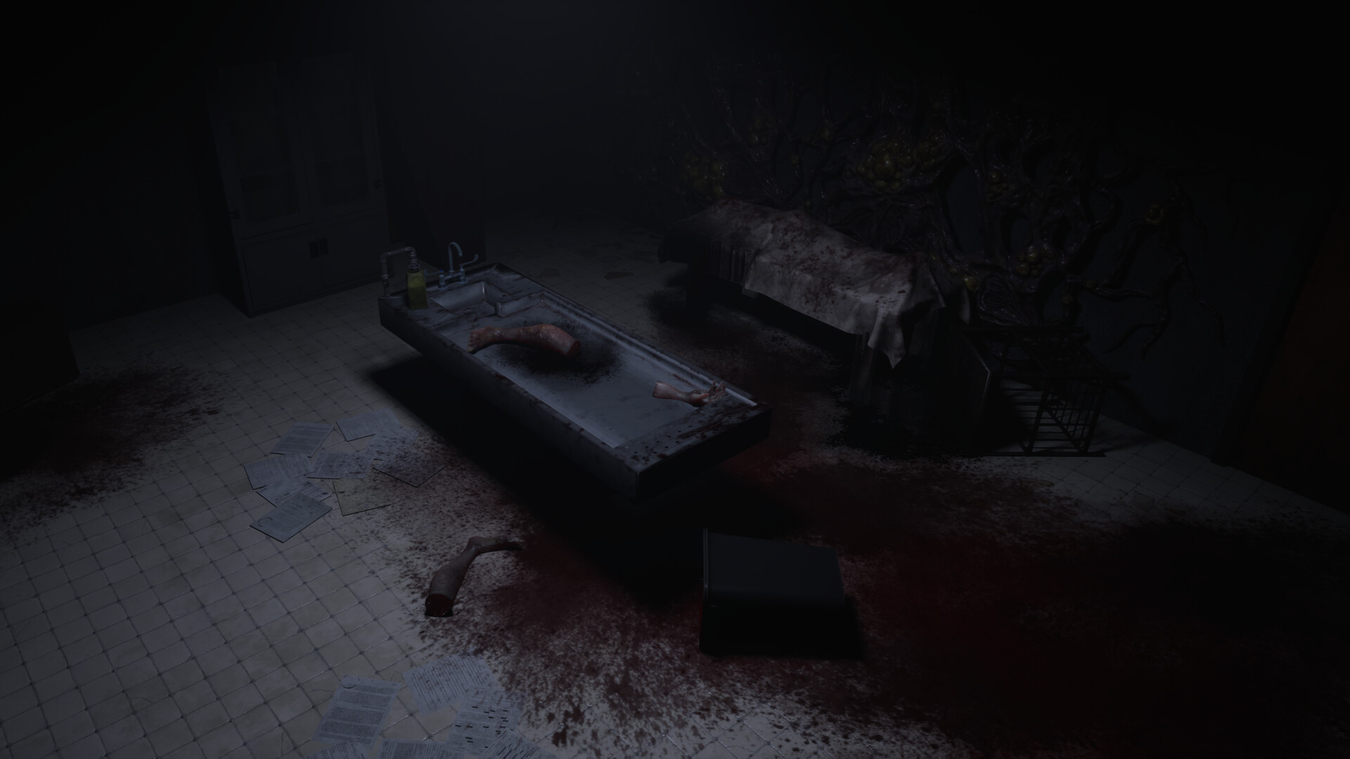 Letherfall screenshot 2
