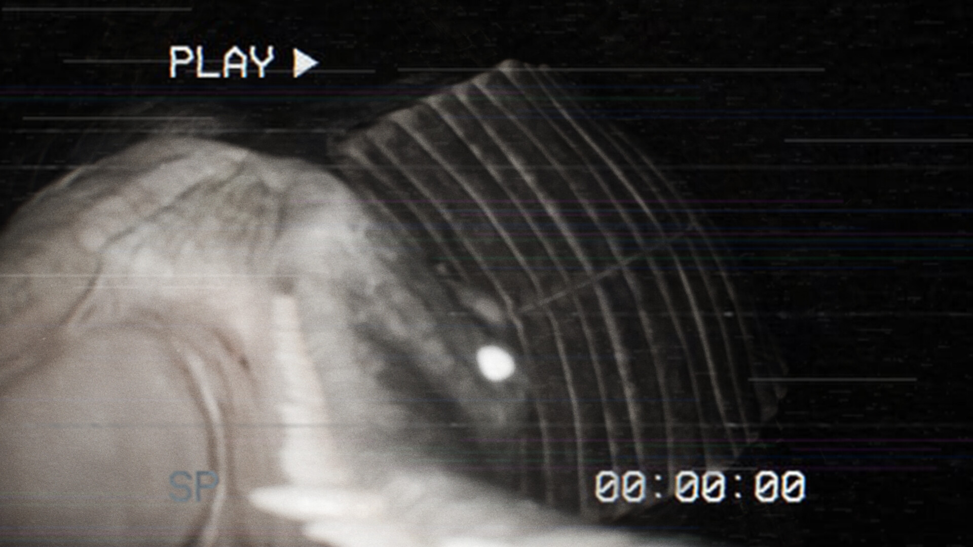 Dragged Deep screenshot 4