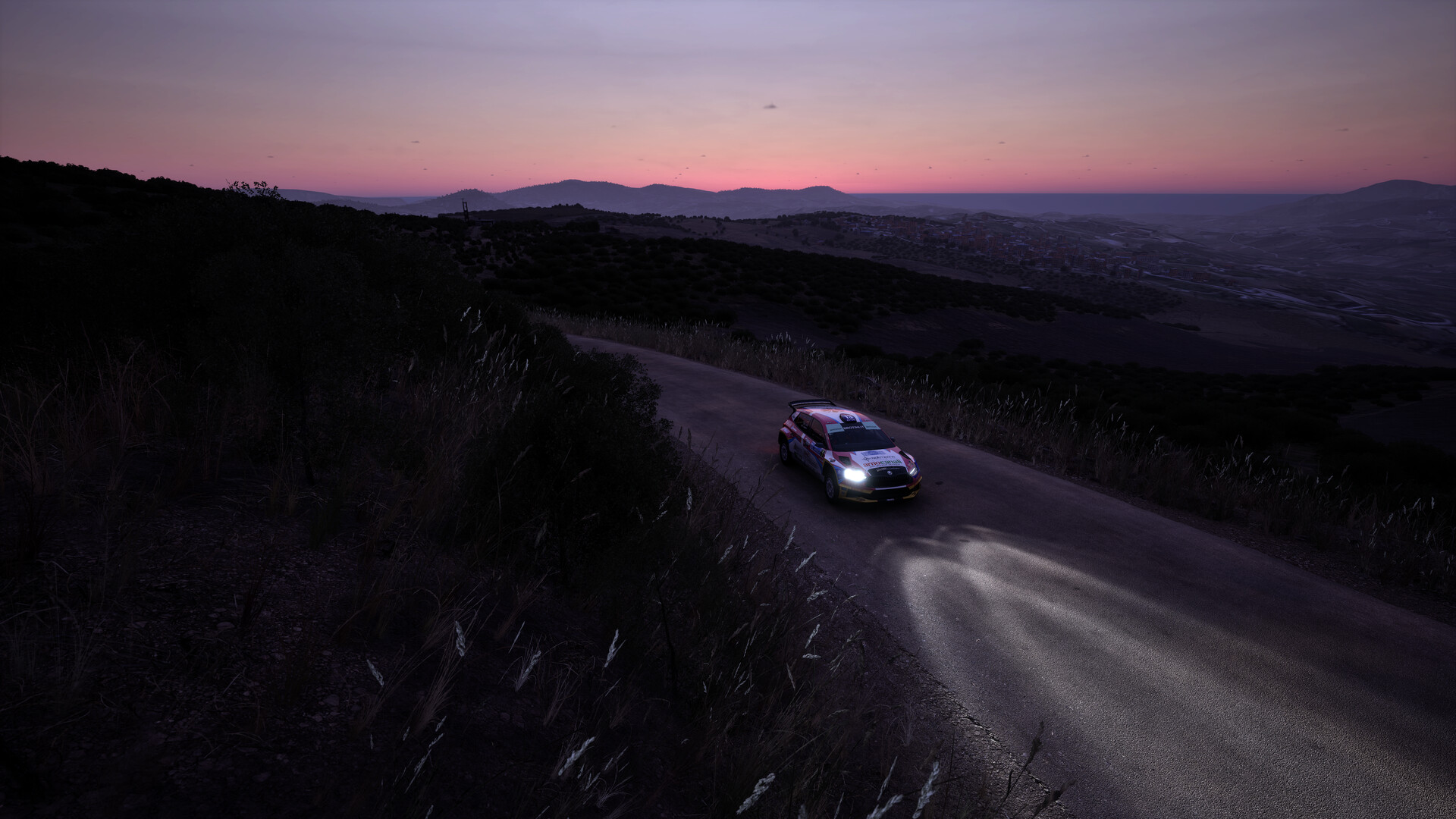 Assetto Corsa Rally screenshot 18
