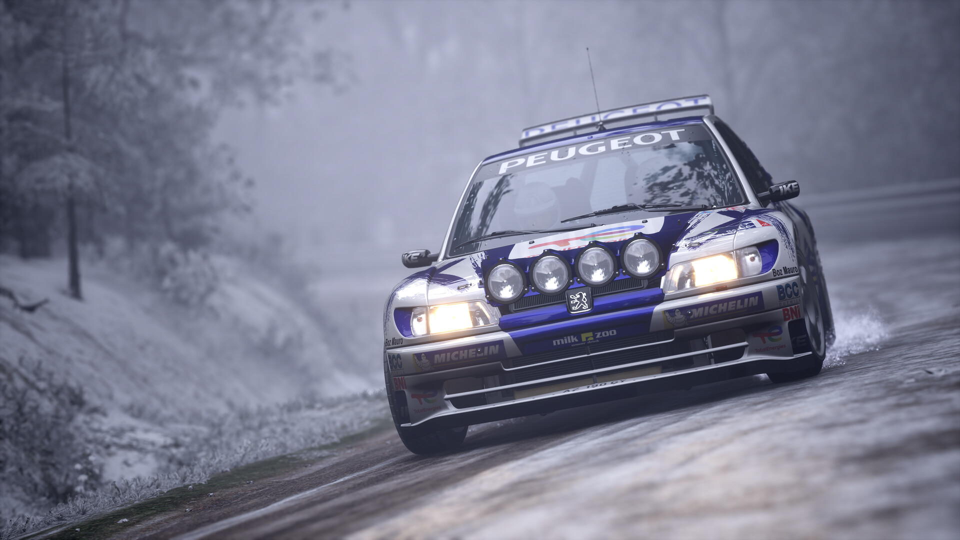 Assetto Corsa Rally screenshot 24
