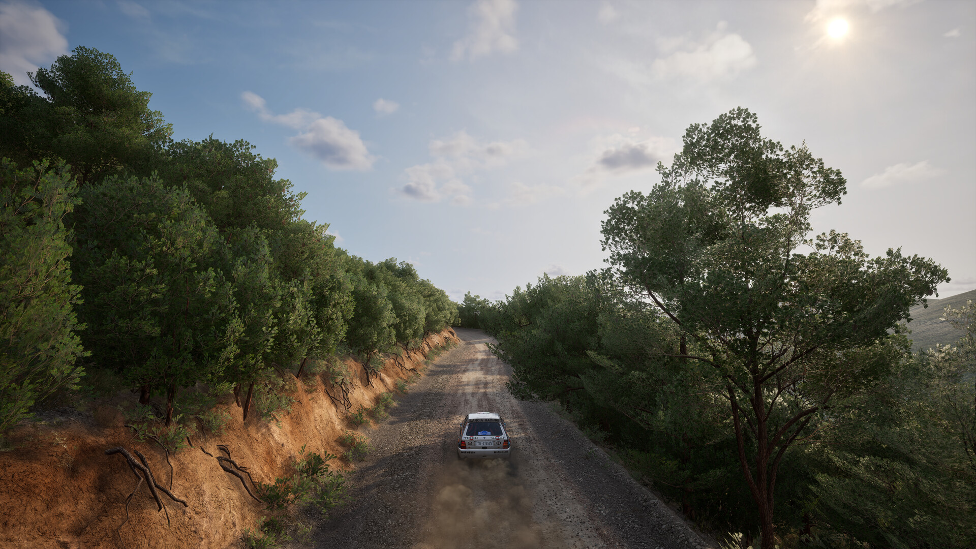 Assetto Corsa Rally screenshot 19