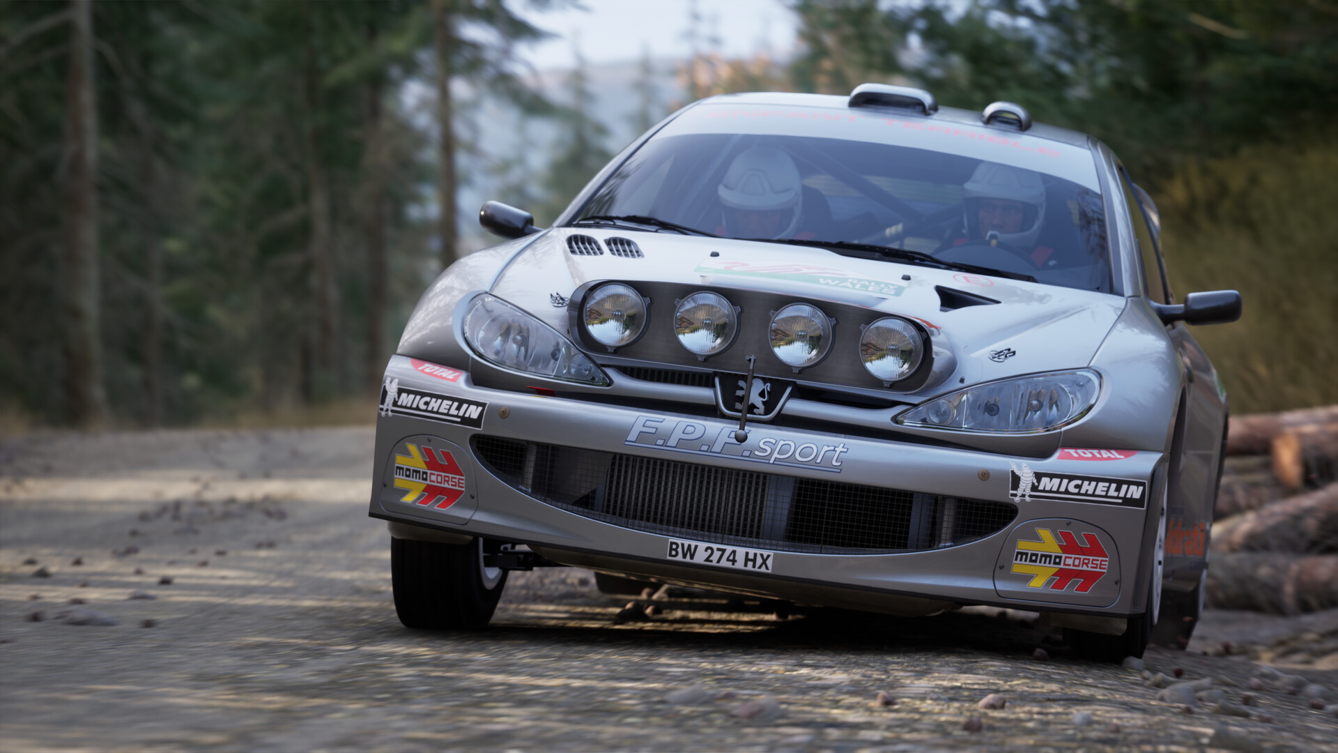 Assetto Corsa Rally screenshot 8