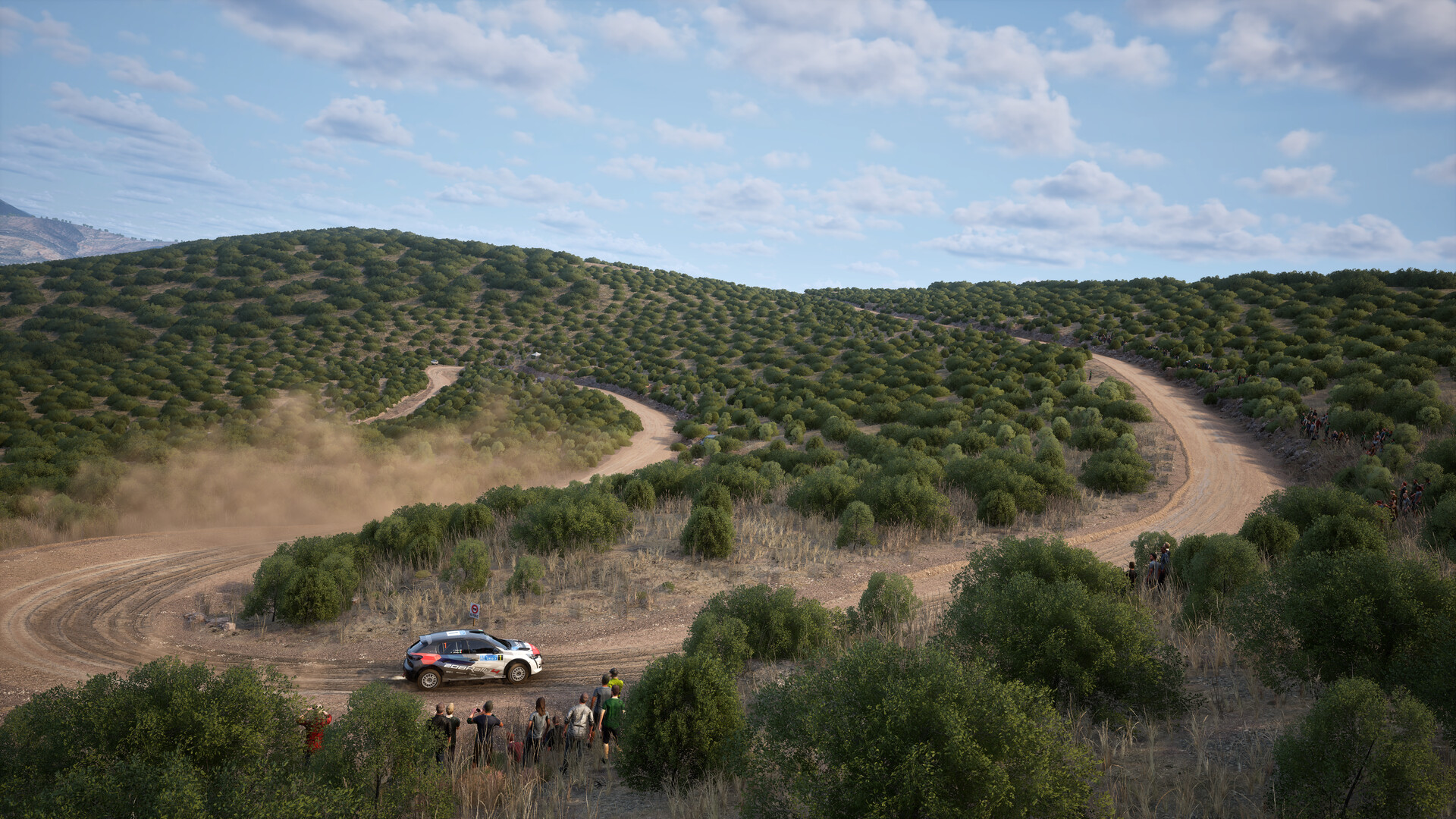 Assetto Corsa Rally screenshot 13
