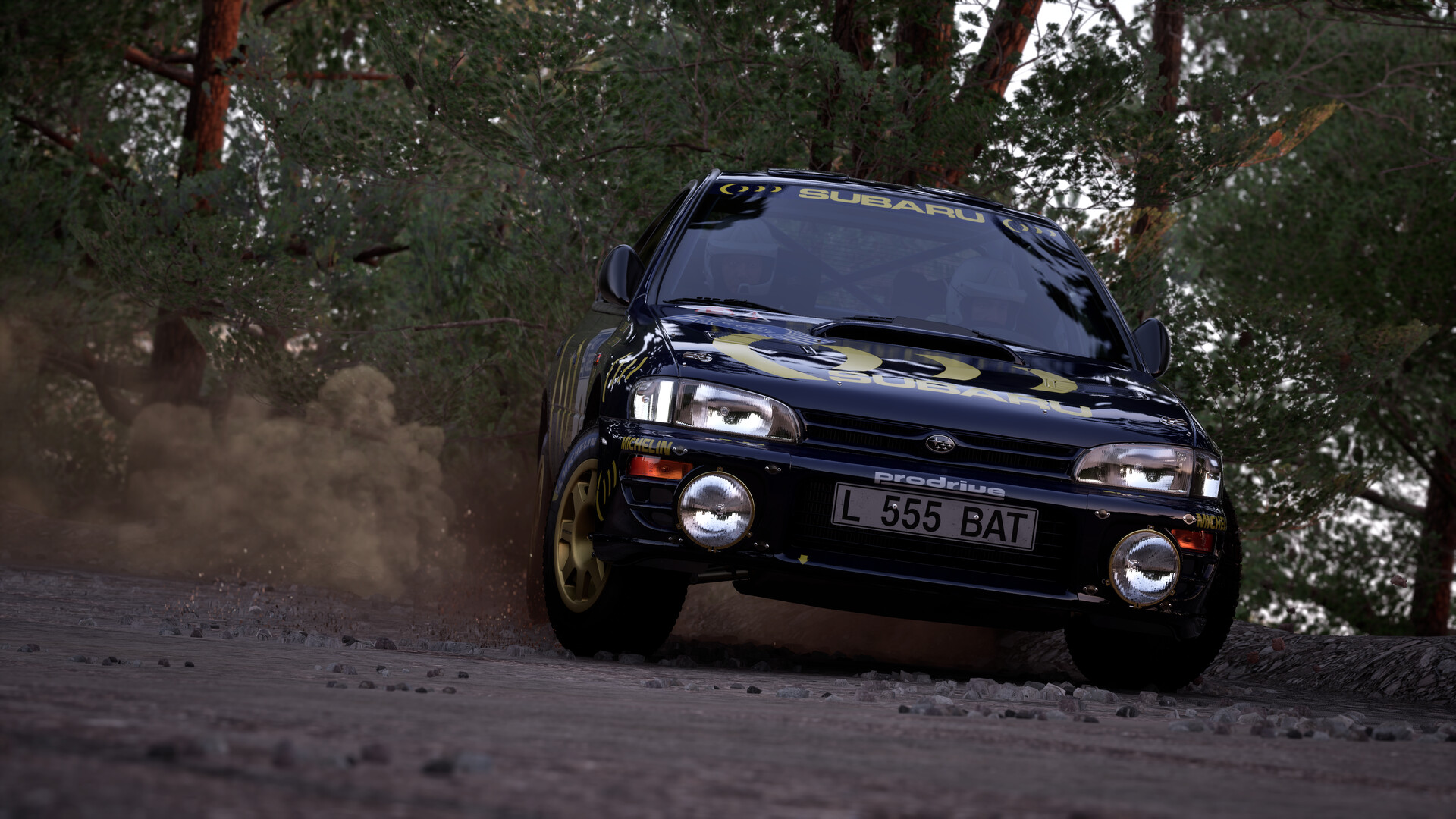 Assetto Corsa Rally screenshot 22
