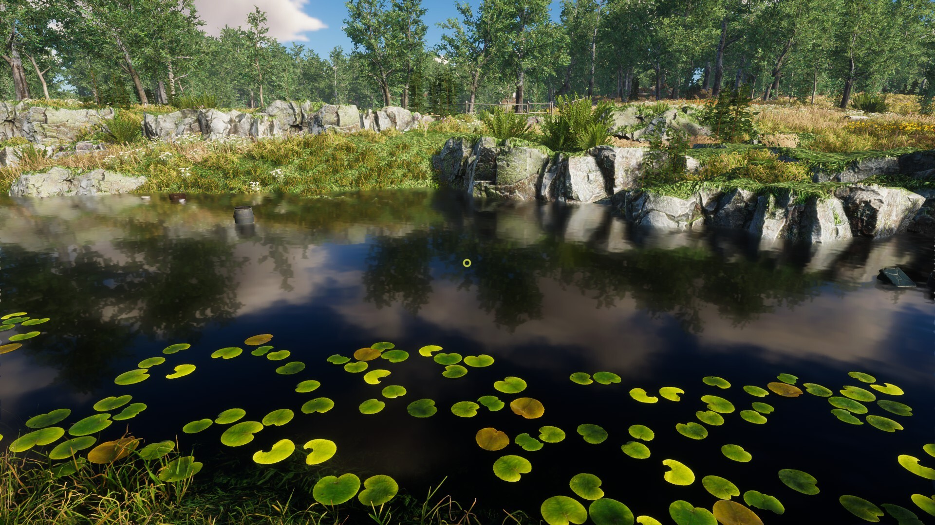Eco Volunteer screenshot 12