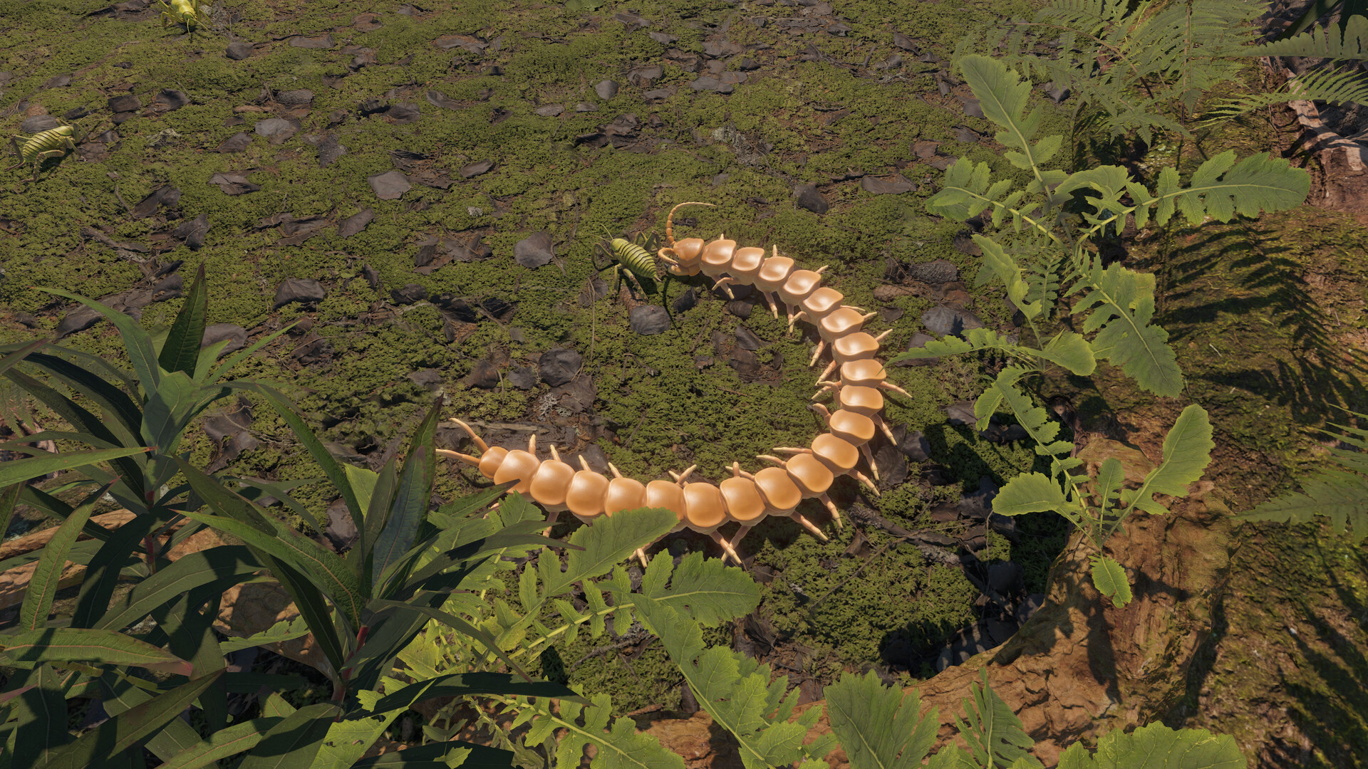 Centipede Simulator screenshot 1