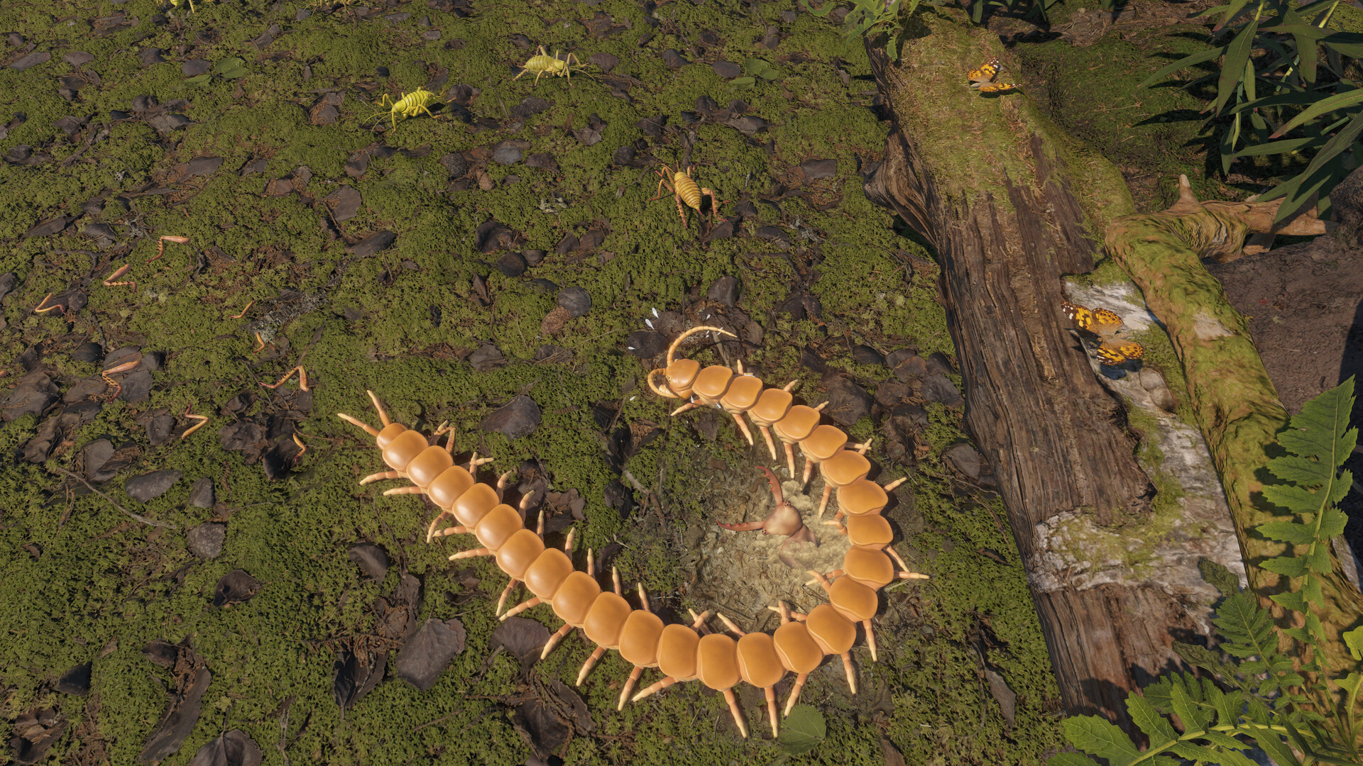 Centipede Simulator screenshot 8