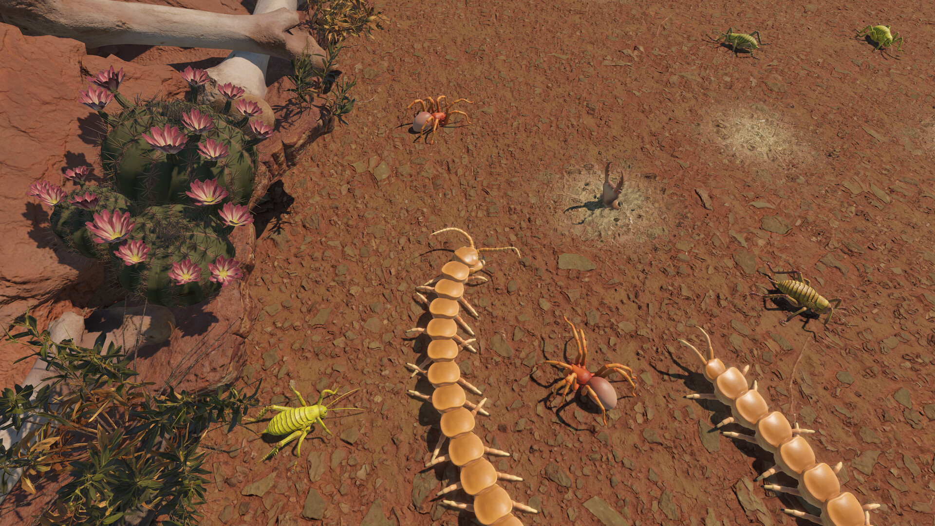 Centipede Simulator screenshot 2