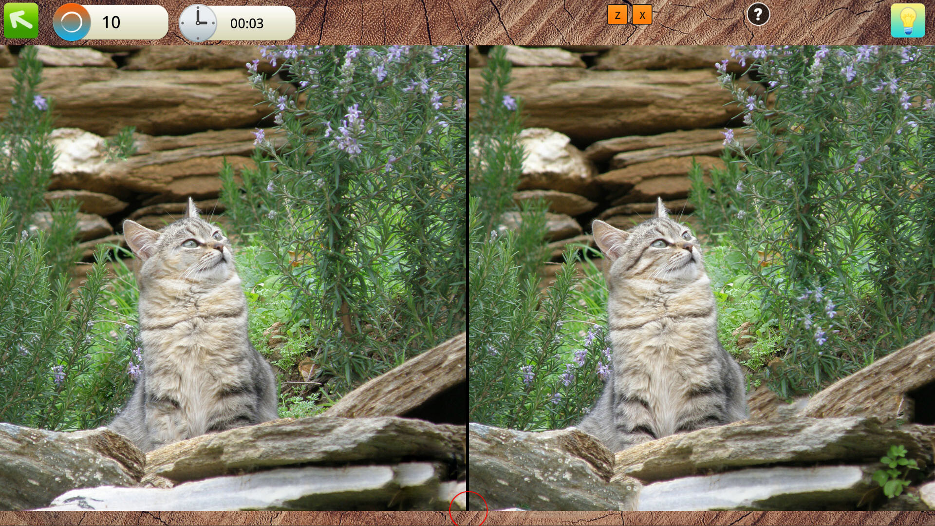 Peaceful Gardens 2: Cute Cats - Hidden Objects Collector's Edition screenshot 6