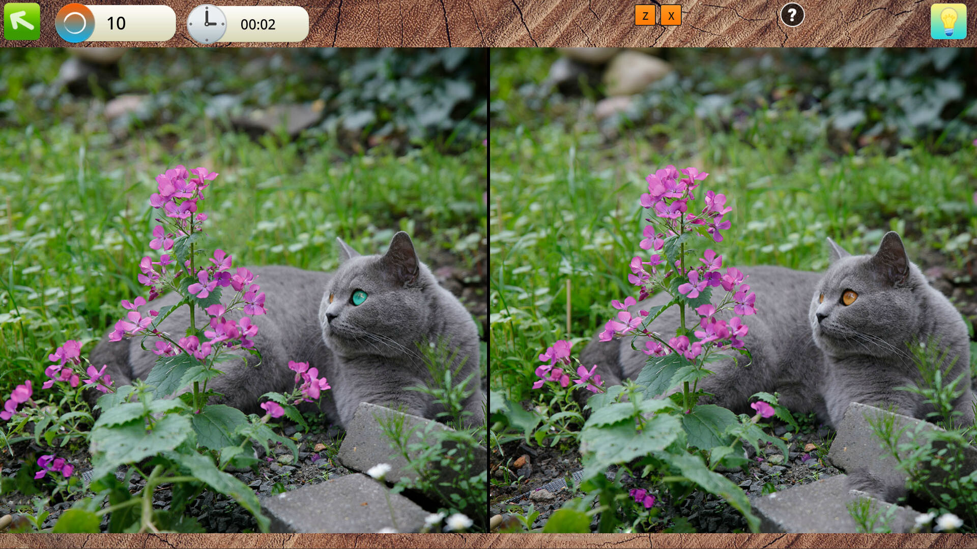 Peaceful Gardens 2: Cute Cats - Hidden Objects Collector's Edition screenshot 2