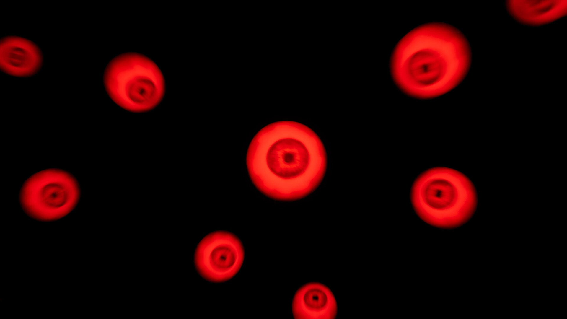 Echo Maze screenshot 4